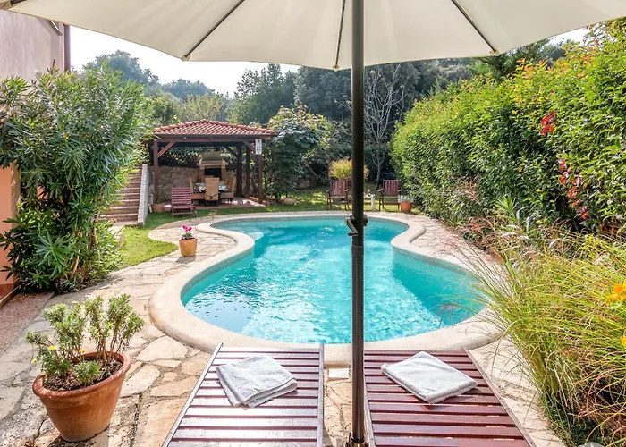 Beautiful In With Wifi * פולה